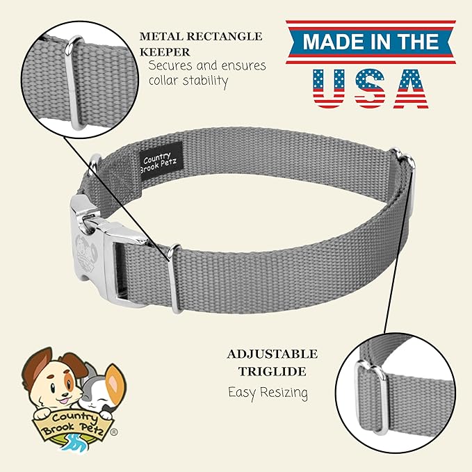 Country Brook Petz - Premium Nylon Dog Collar with Metal Buckle for Small Medium Large Breeds - 10+ Cool Colors (Extra Large, 1 Inch, Silver)