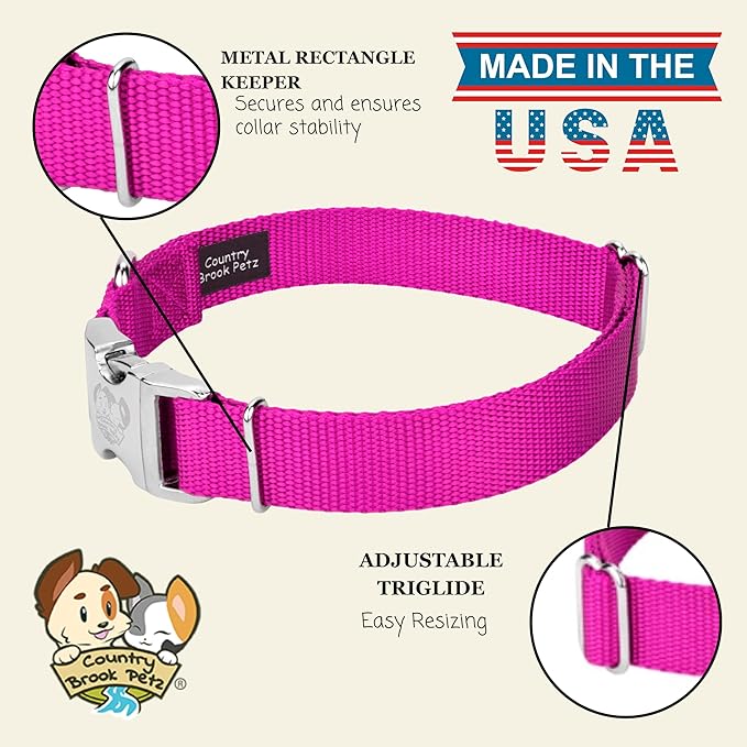 Country Brook Petz - Premium Nylon Dog Collar with Metal Buckle for Small Medium Large Breeds - 10+ Cool Colors (Extra Large, 1 Inch, Fuchsia)