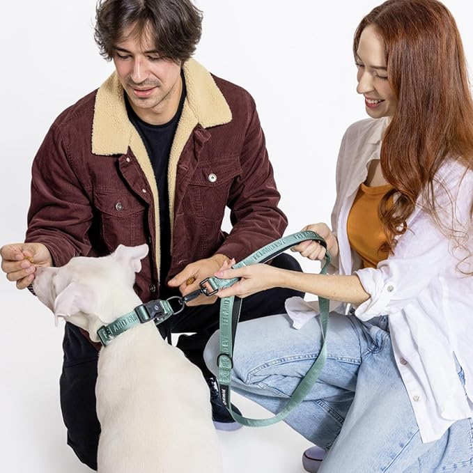 2026 New Edition, Fei & Eve MagEase Dog Collar - Patented Magnetic Buckles | Fur-Safe | Premium 210D Nylon | 450LB Escape-Proof | Adjustable Fit | Large (Glacier Green)