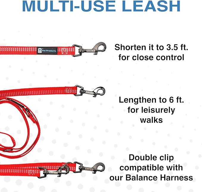Blue-9 Reflective Multi-Function Dog Leash, Double Attachment Adjustable Lead for Obedience Training and Running, 6 Feet, Made in The USA, Small/Medium, Red
