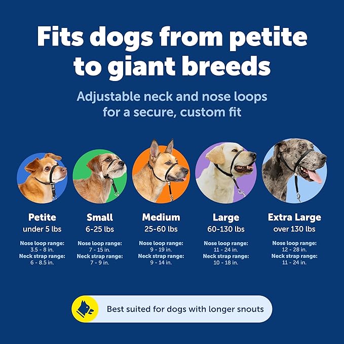 PetSafe Gentle Leader No-Pull Headcollar - Breathable Lightweight Walking Halter - Minimal Strap Design & Padded Nose Loop - Snout-Specific Fit - Helps Gain Easy Control