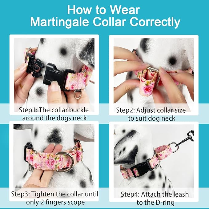 Martingale Collar for Dogs with Buckle Pink Floral Dog Collar No Pull Cute Girl Female Dog Collars for Small Dogs, Watercolor Pink Rose