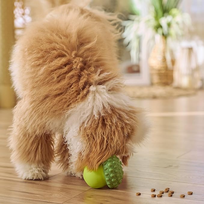 SPOT Treat Tumbler Broccoli – Freezable & Fillable Treat Dispensing Dog Toy for Small & Medium Dogs, Silicone, Easy to Clean, Interactive, Holds Small Kibble & Soft Snacks, 4.38 in