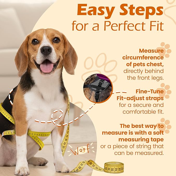 Bark Appeal Gray No-Pull Dog Harness for Extra Large Sized Pets – Adjustable, Reflective Vest with 3 Leash Clips for Added Control, Easy Walks & Training – XXL