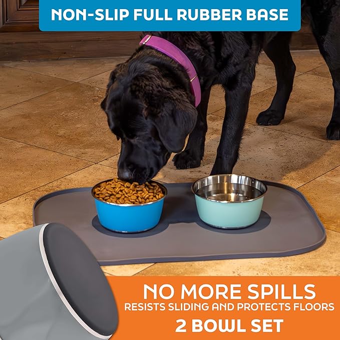 Master Pet Supply Stainless Steel Dog Bowls Set of 2 (32 Oz Each) with Non-Slip Rubber Base - Graphite - Basic Dog Food Bowl Water & Food Bowls for Small Medium Large Dogs & Cats, Metal Dish