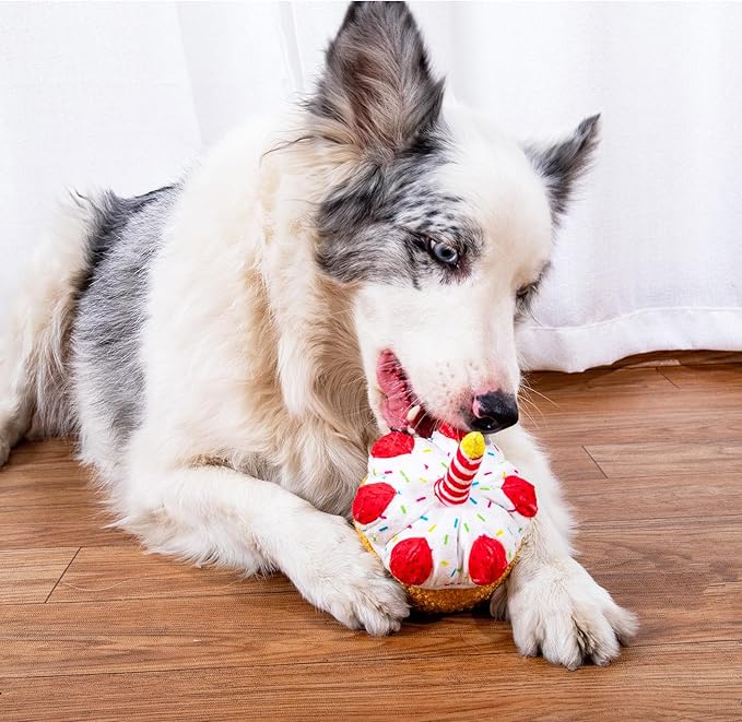 DODODOLA Squeaky Dog Toys Birthday Puppy Toys Cute Stuffed Plush Dog Toy to Keep Them Busy Gift for Small Medium Large Dogs