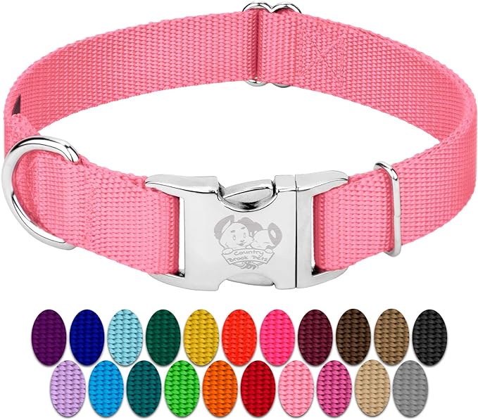 Country Brook Petz - Premium Nylon Dog Collar with Metal Buckle for Small Medium Large Breeds - 10+ Warm Colors (Small, 3/4 Inch, Pink)