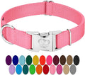 Country Brook Petz - Premium Nylon Dog Collar with Metal Buckle for Small Medium Large Breeds - 10+ Warm Colors (Small, 3/4 Inch, Pink)