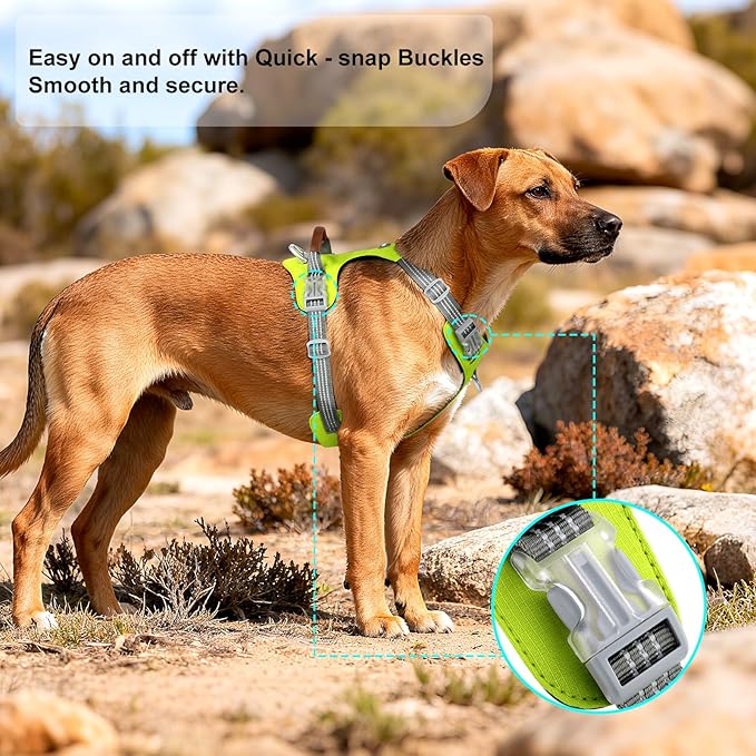 No Pull Dog Harness – Adjustable Reflective Nylon Vest for Small Medium Large Dogs, Escape Proof Training Harness with Leather Control Handle, Lightweight Aluminum Hardware (Green, S)