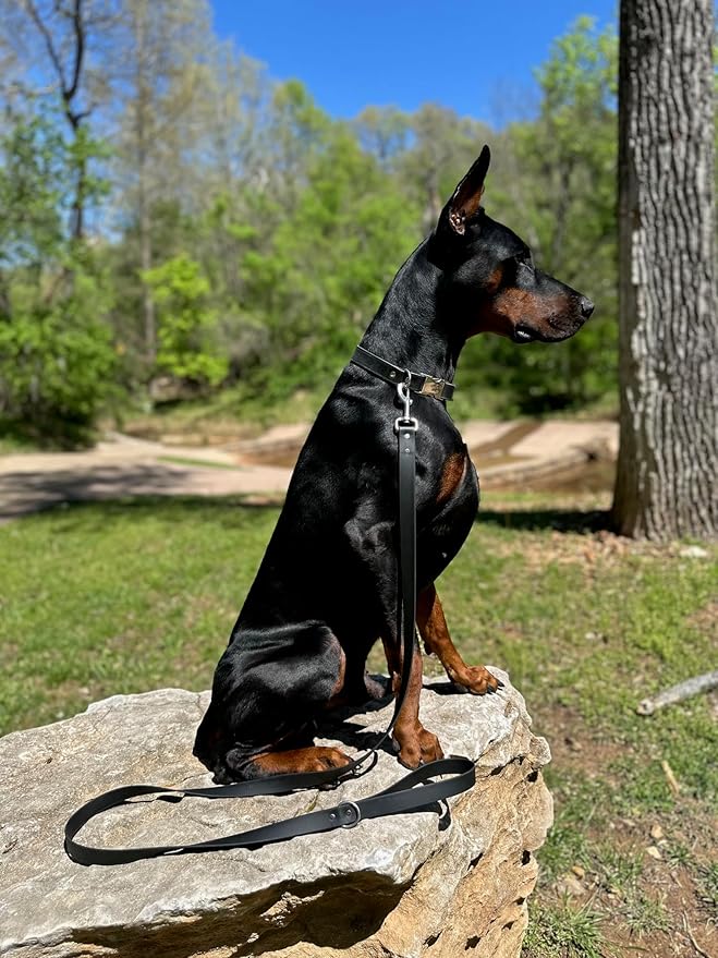 6ft Long Leash for Dogs - 1000lb Strength, Waterproof with Stainless Steel Hardware, Durable Long Dog Leash for Large Breeds