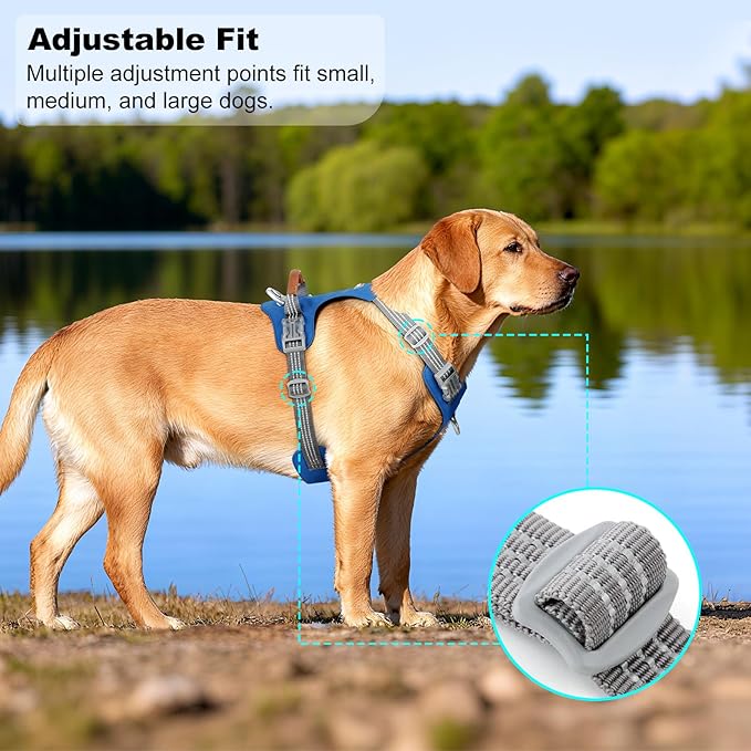 No Pull Dog Harness – Adjustable Reflective Nylon Vest for Small Medium Large Dogs, Escape Proof Training Harness with Leather Control Handle, Lightweight Aluminum Hardware (Royal Blue, S)