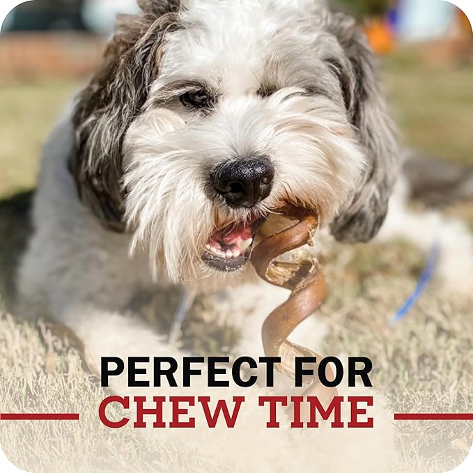 Redbarn Pet Products 12" Bully Sticks for Dogs, Case of 35