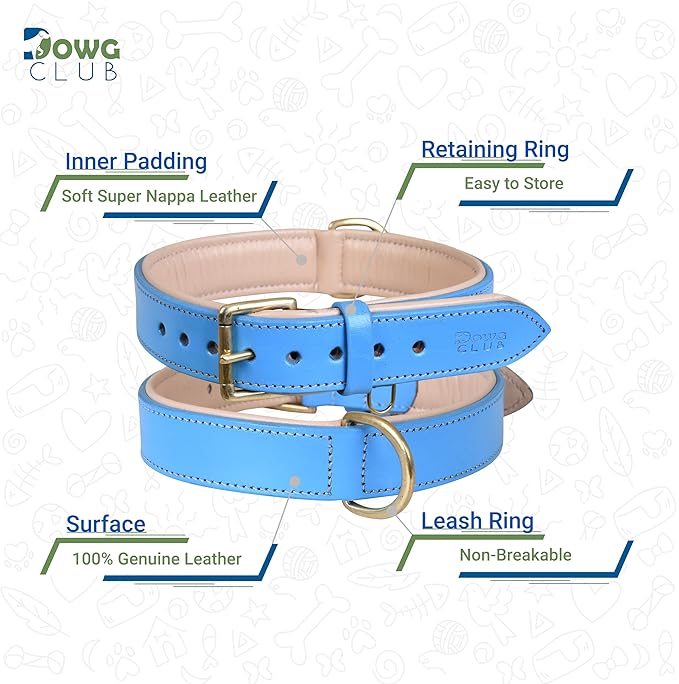 Genuine Leather Dog Collar | Full Grain, Heavy Duty, Comfortable, Padded, Strong | Best for Pups, Small, Medium, Large & XL Breeds (X-Large (Fit Neck Size 22"-26"), Blue)