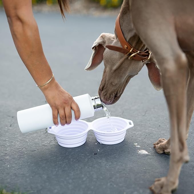 Pup Culture Dual Collapsible Dog Bowls | Silicone Travel Water Bowl for Dogs | Food Grade, No Plastic Rim, Portable Dog Bowl for Food and Water-Easy to Clean | BPA Free and Safe for Your Pup-Lavender