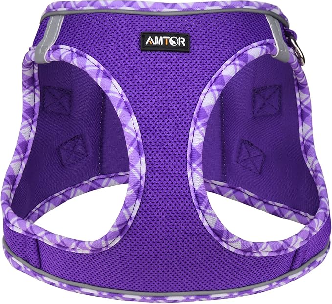 AMTOR Small Dog Harness with Leash Set, No Escape Easy Walk Puppy Harnesses for Training Walking, Step-in Reflective Soft Dogs Vest for XS S Medium Extra-Small Large Sized Dog(Purple,XXS)