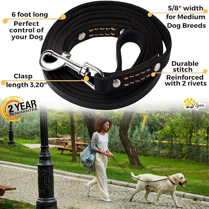ADITYNA - Premium Leather Dog Leash - 6 ft, Heavy-Duty, Soft & Strong for Small/Medium Dogs (Medium: 6 ft x 5/8", Black)