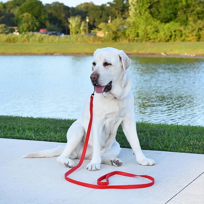 Dogline Biothane Waterproof Dog Leash Strong Coated Nylon Webbing with Black Hardware Odor-Proof Easy to Clean High Performance for Small or Large Dogs Made in USA 2 ft Lead, Cherry Red