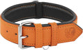 Riparo Extra Wide Leather Dog Collar - Heavy Duty Wide Dog Collar for Small, Medium, Large and Extra Large Dogs with Dog Tag Holder (XXL: 2” Wide for 24”-29” Neck, Orange)