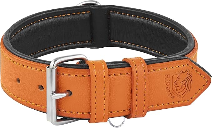 Riparo Orange Dog Collar, Leather Dog Collar with Dog Tag Holder, Small Dog Collar for Small Dogs (S: 0.75” Wide for 10”-13.5” Neck, Orange)