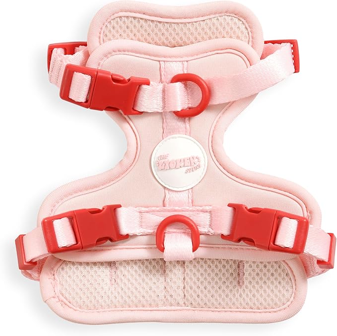 HNS1000G Arlo Extra Small Adjustable Soft Padded No Pull Pet Harness with 3 Buckles and 3 Leash Clips, Paloma