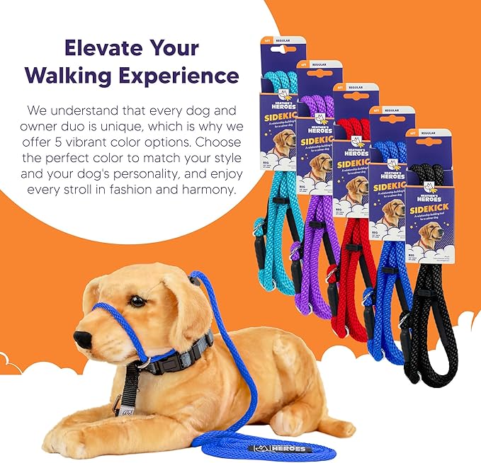 Heather's Heroes Sidekick Leash