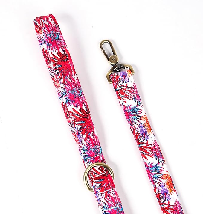 Organic Cotton Dog Leash for Small,Medium and Large Breed,Brass Hardware Pet Leash for Walking,Running and Training 6FT