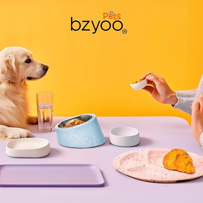 bzyoo 16oz Tilted Dog Bowl for Small Dogs & Cats, 15° Elevated Stainless Steel Pet Feeder, Ergonomic Anti-Vomiting Food Bowl for Frenchie, Pug, Persian Cat, Non-Skid Melamine Stand, Sprinkle (White)