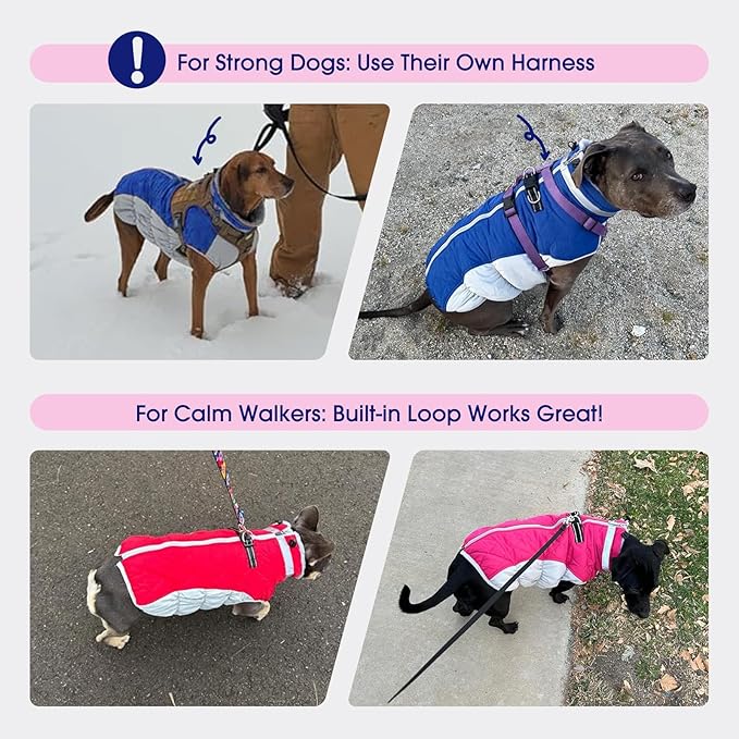 FUAMEY Dog Coat for Small Dogs,Waterproof Dog Winter Jacket with Harness Built in Puppy Cold Weather Coats Reflective Pet Vest with Zipper Warm Fleece Dogs Snowsuit Windproof Mint Green S