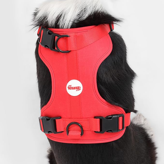 HNS1003M Arlo Large Adjustable Soft Padded No Pull Pet Harness with 3 Buckles and 3 Leash Clips, Shirley