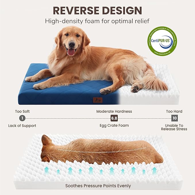 Orthopedic Dog Beds for Large Medium Dogs, Washable Pet Bed Mat with Removable Cover, Waterproof Egg Crate Foam Puppy Bed Anti Slip, 36" x 27"
