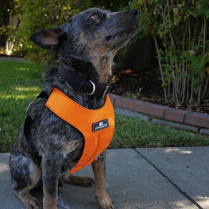 Clickit Sport Plus - Crash-Tested and Safety Certified Car Seat Belt Harness for Dogs (Medium, Orange Dream)