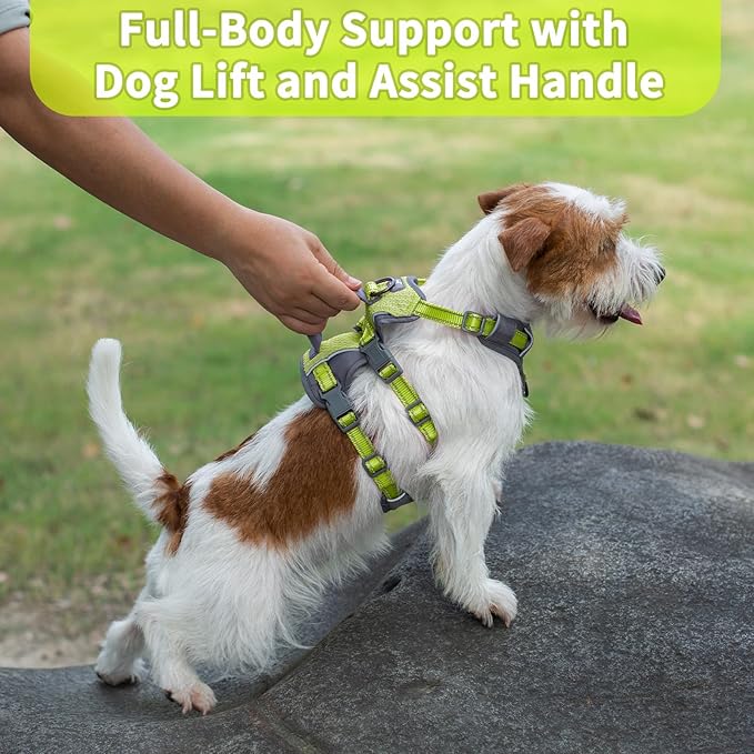 Huntboo Reflective Dog Harness with Handle, Escape Proof, No Slip, Breathable, Lightweight, Adjustable Lift Harness for Small, Medium, and Large Dogs Walking, Training,and Running Gear(Bright Green,S)