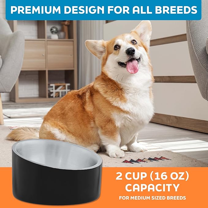 Master Pet Supply Stainless Steel Slanted Dog Cat Food Bowl - 16 oz Heavy Duty - Black Velvet, Double Wall Insulated, Non-Slip Elevated Bowl for French Bulldogs Pugs Cats, Anti Rust Dishwasher Safe