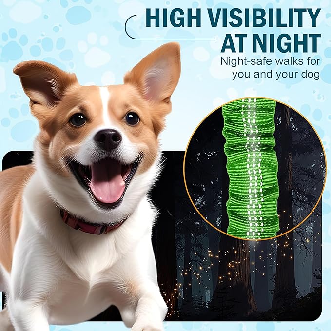 Hands Free Dog Leash with Waist Belt – No-Pull Bungee, Dual Padded Handles & Zipper Pouch for Running, Walking & Training – Adjustable Waist Leash for Large & Medium Dogs