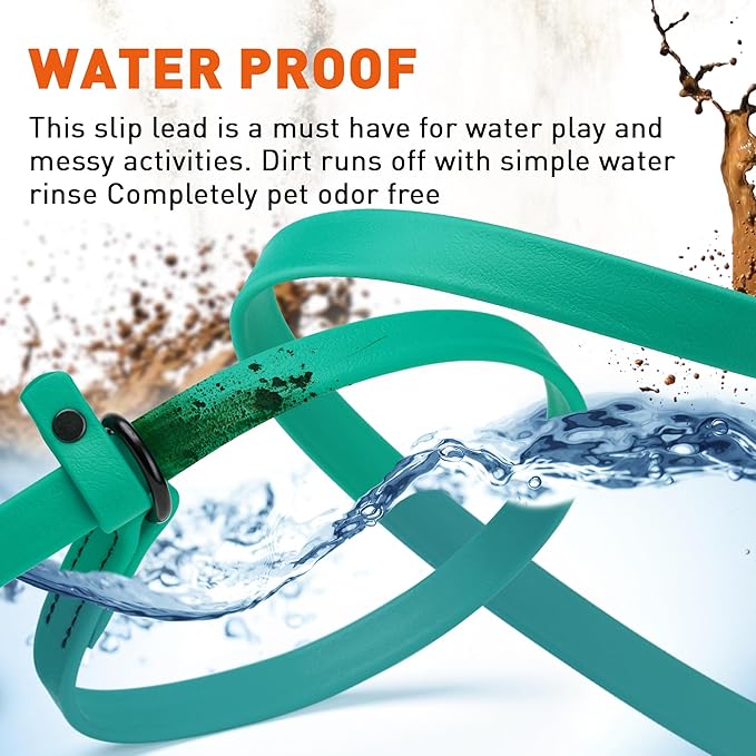 Dogline Biothane Slip Dog Leash - for Small, Medium and Large Dogs - Odor Free Slip Lead, Heavy Duty and Durable Material Kennel Lead - Teal - 5ft L x 3/8in W