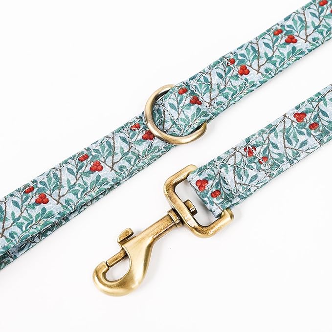 Organic Cotton Dog Leash for Small,Medium and Large Breed,Brass Hardware Pet Leash for Walking,Running and Training 6FT