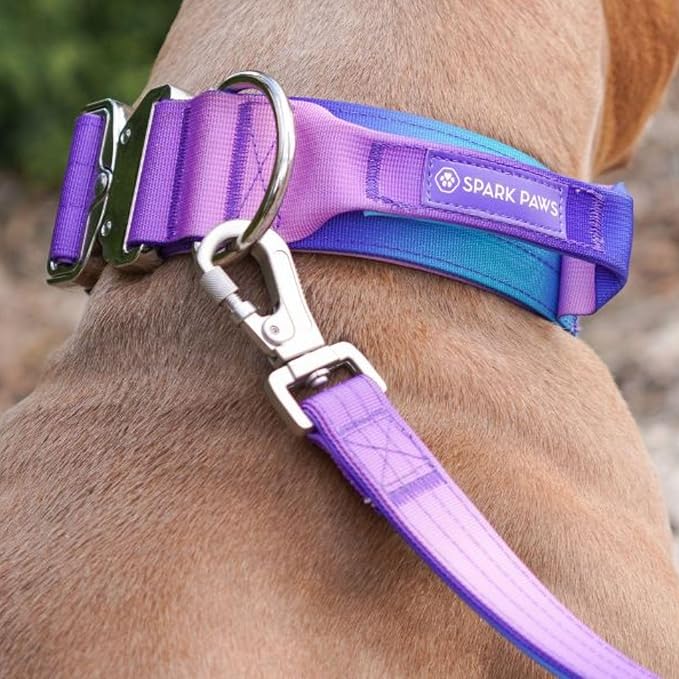 Spark Paws Tactical Dog Collar - Heavy Duty, Premium Quality, Thick and Durable for Large and Medium Dogs - 90's Retro - L