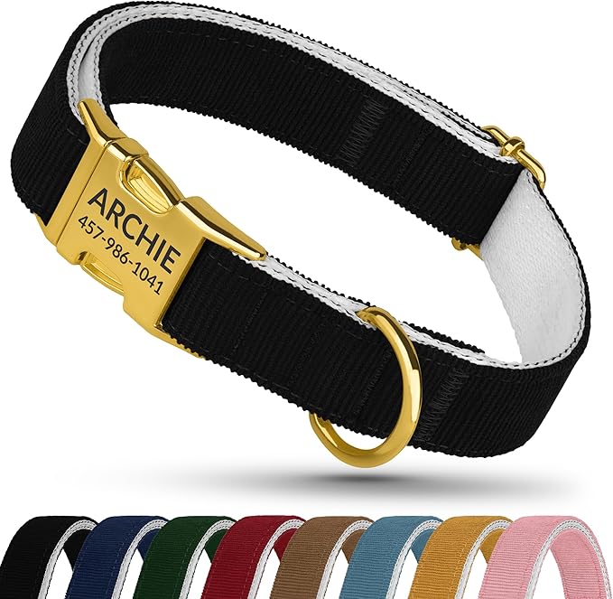 Personalized Dog Collar with Gold Metal Buckle, Velvet Custom Dog Collars for Small, Medium & Large Dogs – Puppy Collars with Metal Buckle, 4 Sizes, 8 Colors (Black, L, 15"-19")
