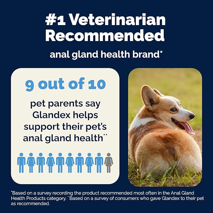 Vetnique Glandex Anal Gland Soft Chew Treats with Pumpkin for Dogs Digestive Enzymes, Probiotics Fiber Supplement for Dogs Boot The Scoot (Bacon Flavor Chews, 120 Count)