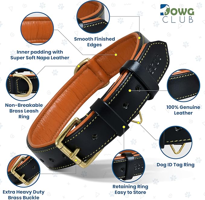 Leather Dog Collar | Leather Collar for Small Dogs, .75 Inch Wide Dog Collar Black | Genuine, Full Grain, Heavy Duty, Comfortable, Inner Padding (Small (Fit Neck Size 11.5"-14.5"), Black)