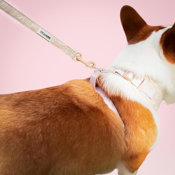 5 FT Stylish Dog Leash, Soft Dog Leashes with Comfortable Padded Handle, Metal Carabiner Clip, Strong No Pull Pet Leash for Small Medium Dogs for Walking, Shopping and Running