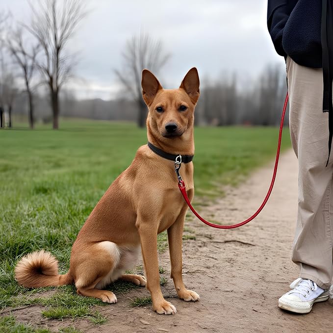 OOPSDOGGY Rolled Leather Dog Lead 6ft Heavy Duty Training Leash for Small Medium Large Dogs & Puppy Black Brown Red (Red, Large)