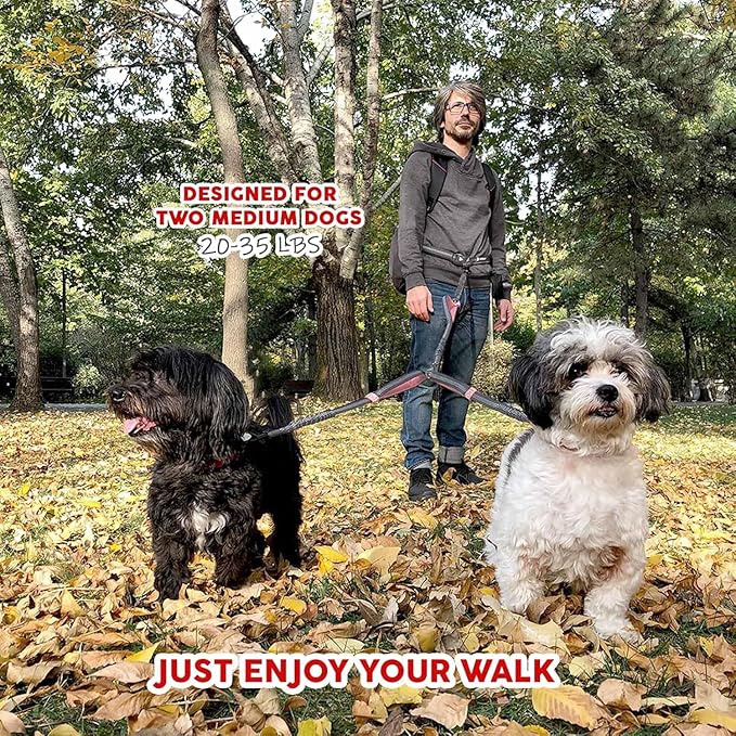 Pet Dreamland Exquisite Hands Free Dual Dog Leash for Medium Dogs. Trending Waist Leash for Walking 2 Dogs No Tangle. You Will Absolutely Love This Amazing Double Dog Gear (Dark Grey & Pink)