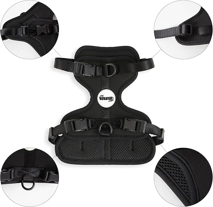 HNS1001I Arlo Small Adjustable Soft Padded No Pull Pet Harness with 3 Buckles and 3 Leash Clips, Bitters