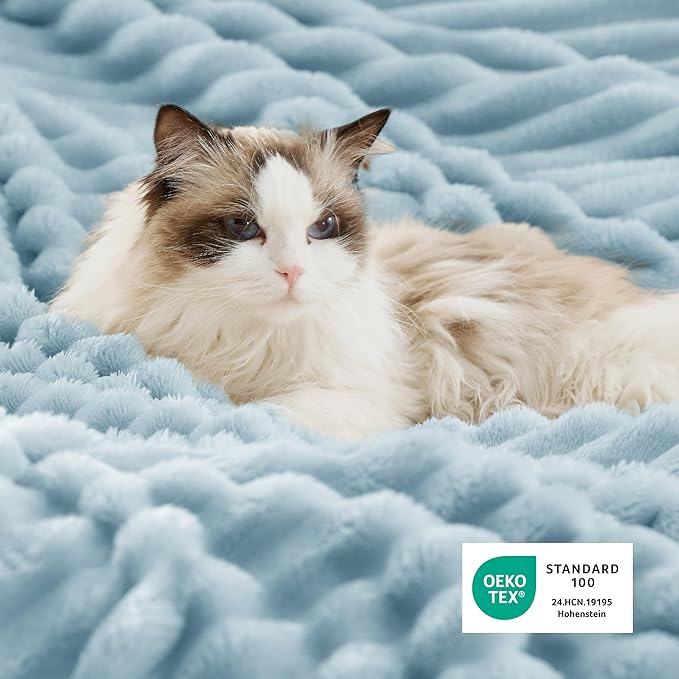 Bedsure Sherpa Throw Blanket for Couch - Super Soft, Cozy Fleece Thick Warm Blanket for Winter, GentleSoft Plush & Fluffy Throw Gift for Women, Room Decor, Sky Blue, 50x60 Inches