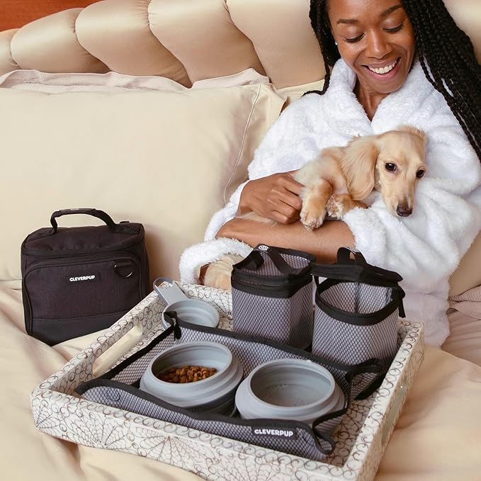 Cleverpup Small 7-Piece Bistro Box Dog Food Travel Kit, 6-Cup BPA-Free Kibble Storage, 2 Silicone Bowls, Mat & Scoop - Portable Pet Food Kit for Weekends, Overnights, Daycare & Camping, Graphite