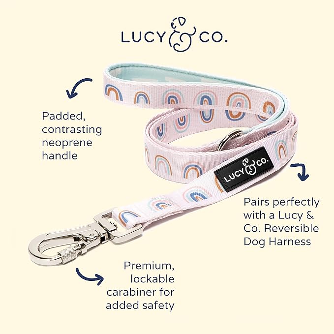 Lucy & Co. 5 Foot Designer Dog Leash - Best for Big, Small, or Medium Dogs - Puppy Leash - Cloud Pattern