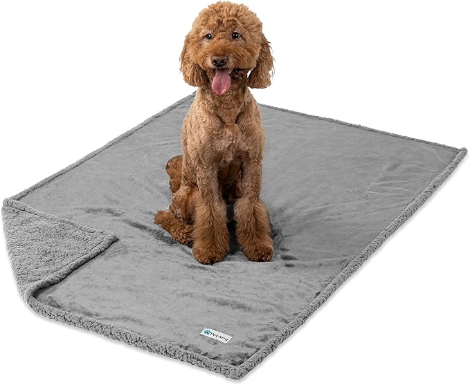PetAmi Waterproof Dog Blanket for Medium Large Dog Puppy Cat Throw for Couch Cover Leakproof Protection, Sherpa Fleece, Reversible Soft Washable 60x40 Light Gray