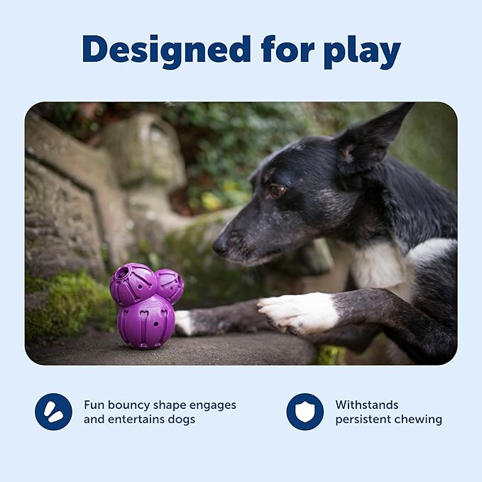 PetSafe Busy Buddy Barnacle - Treat Dispensing Dog Toy for Mental Stimulation - Natural Rubber - Durable Construction - Dishwasher Safe - Treat Meter Technology - Perfect for Peanut Butter - Large