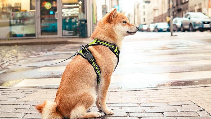 Ziggy Pet Dog Harness Adjustable Nylon Mesh Vest with Leash Clips (Green, Extra Large)